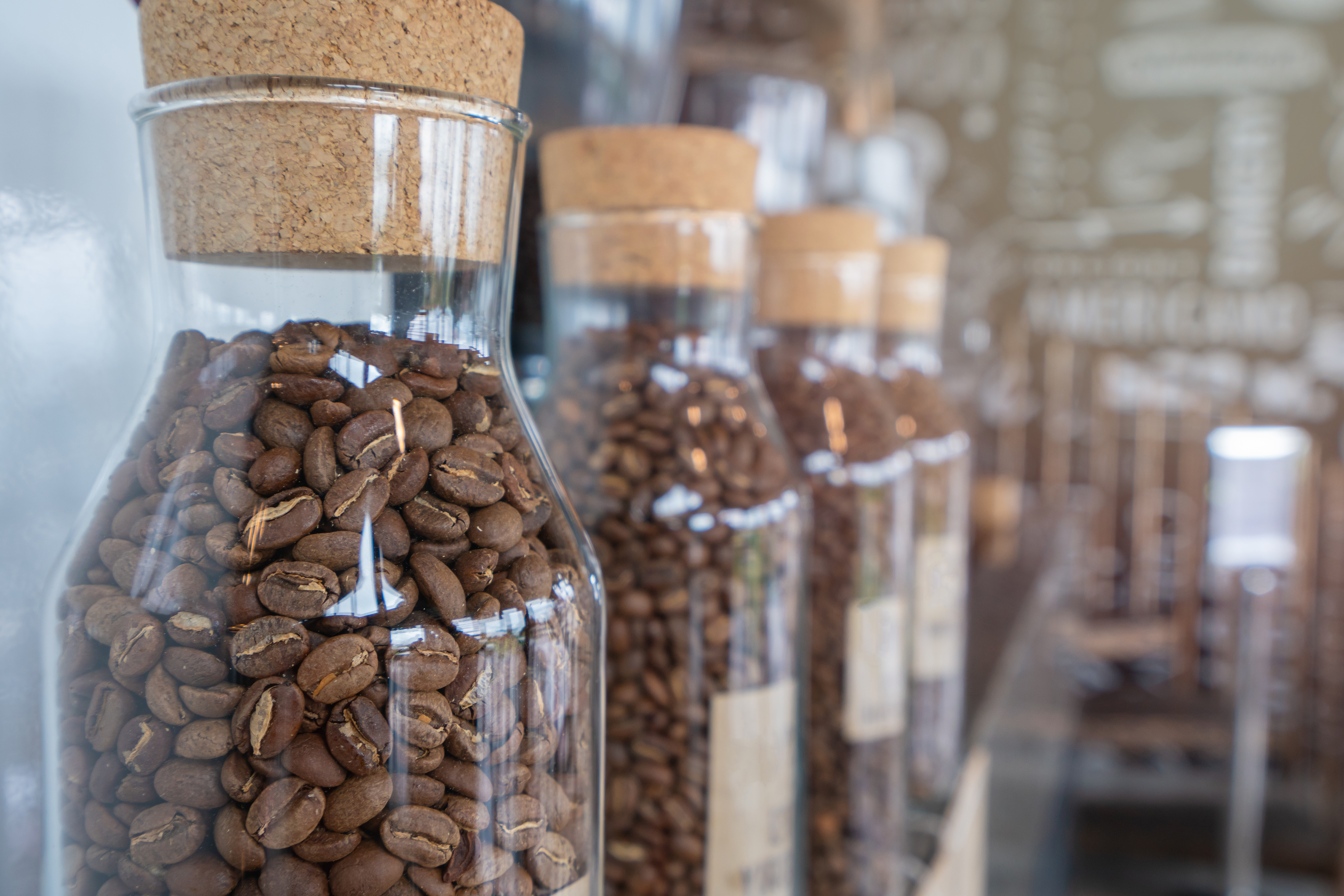 How to Store Coffee Beans and Keep Them Fresh